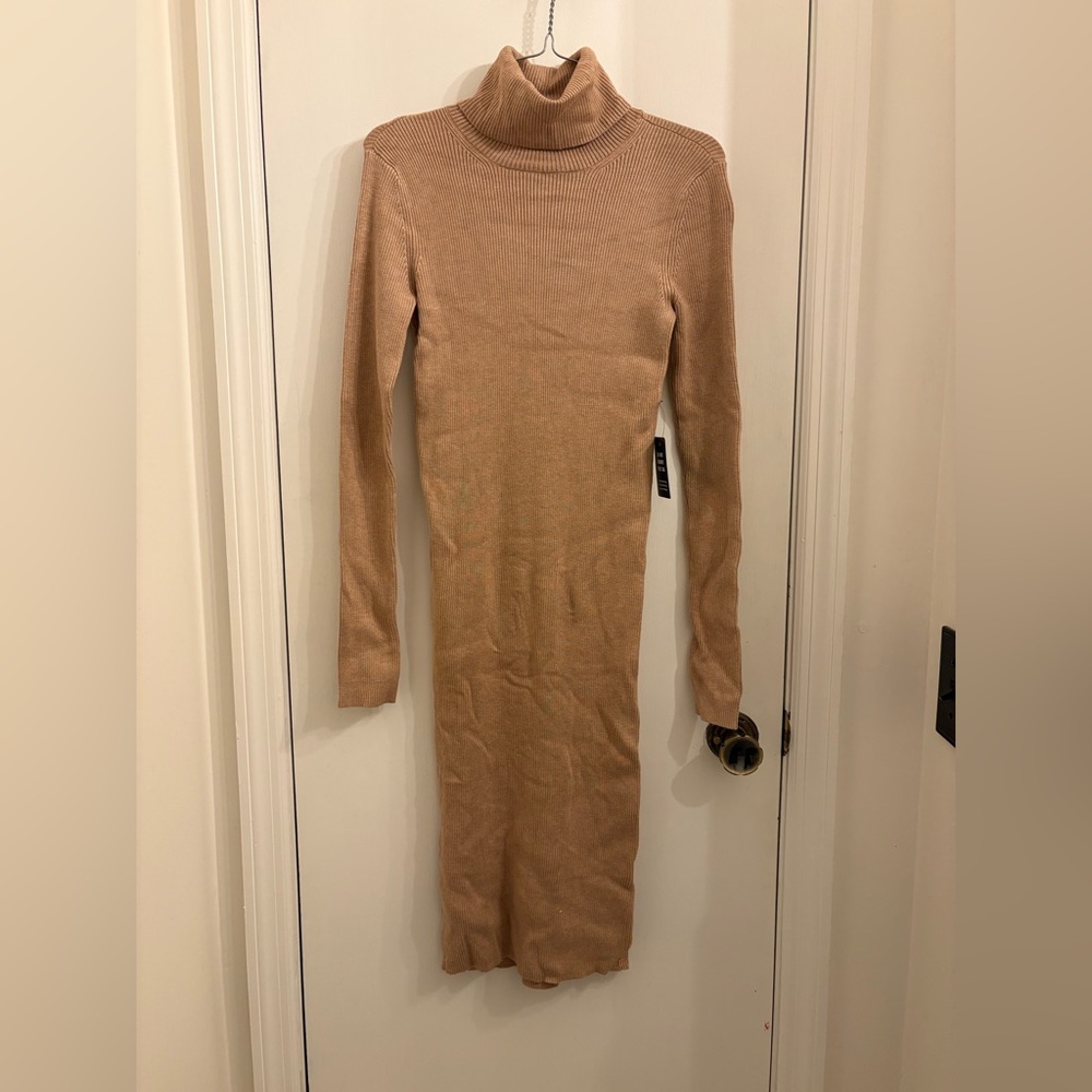 Express Long sleeve turtleneck dress